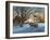 Memories of Christmas Past-Kevin Dodds-Framed Giclee Print