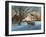 Memories of Christmas Past-Kevin Dodds-Framed Giclee Print