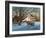 Memories of Christmas Past-Kevin Dodds-Framed Giclee Print