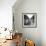 Memories of Paris-Paul Almasy-Framed Giclee Print displayed on a wall