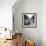 Memories of Paris-Paul Almasy-Framed Giclee Print displayed on a wall