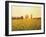 Memories Of The Summer-kirilstanchev-Framed Art Print