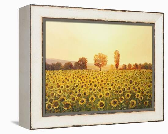 Memories Of The Summer-kirilstanchev-Framed Stretched Canvas