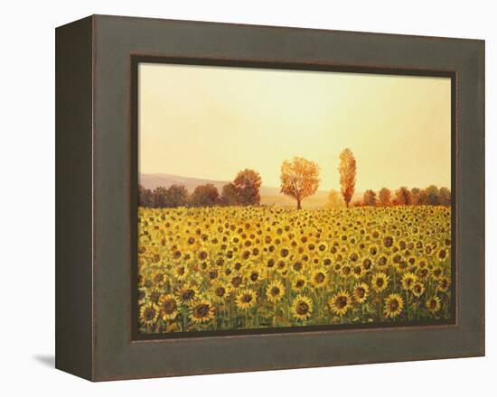 Memories Of The Summer-kirilstanchev-Framed Stretched Canvas