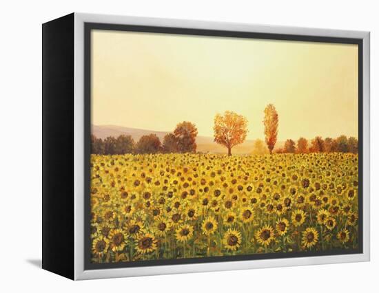 Memories Of The Summer-kirilstanchev-Framed Stretched Canvas