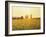 Memories Of The Summer-kirilstanchev-Framed Premium Giclee Print