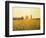 Memories Of The Summer-kirilstanchev-Framed Premium Giclee Print