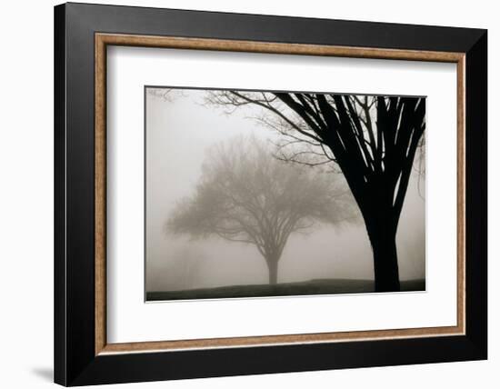 Memories of Winter-David Winston-Framed Giclee Print