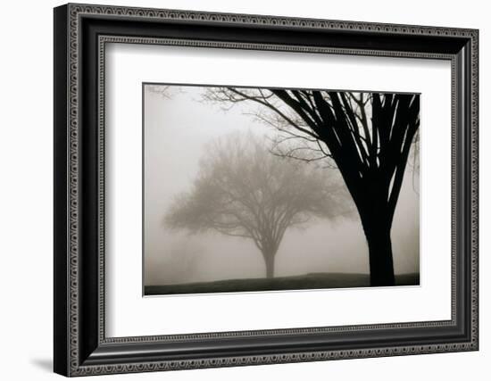 Memories of Winter-David Winston-Framed Giclee Print