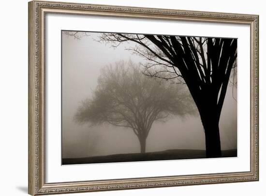 Memories of Winter-David Winston-Framed Art Print