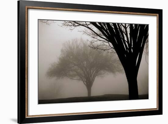 Memories of Winter-David Winston-Framed Art Print