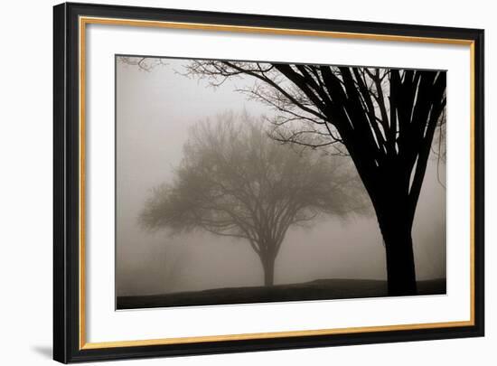 Memories of Winter-David Winston-Framed Art Print