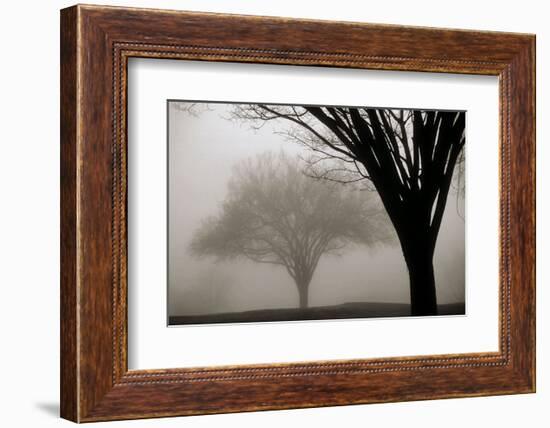 Memories of Winter-David Lorenz Winston-Framed Art Print