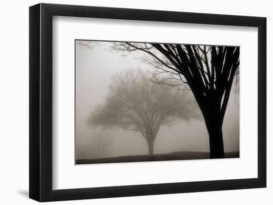 Memories of Winter-David Lorenz Winston-Framed Art Print