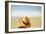 Memories on the Beach 2-Carlos Casamayor-Framed Giclee Print