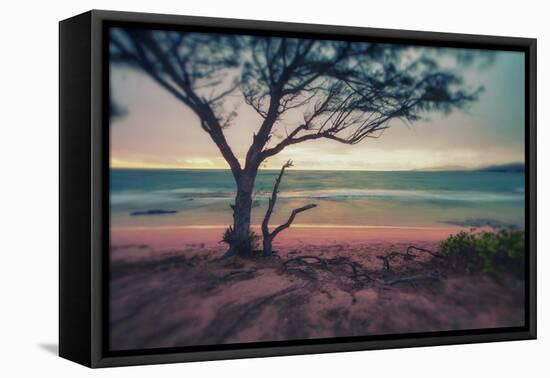 Memory Beach, Kauai-Vincent James-Framed Premier Image Canvas