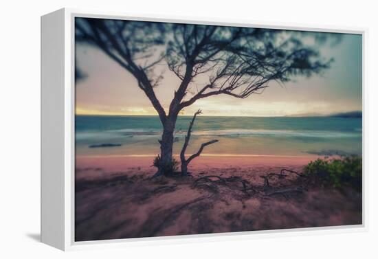 Memory Beach, Kauai-Vincent James-Framed Premier Image Canvas