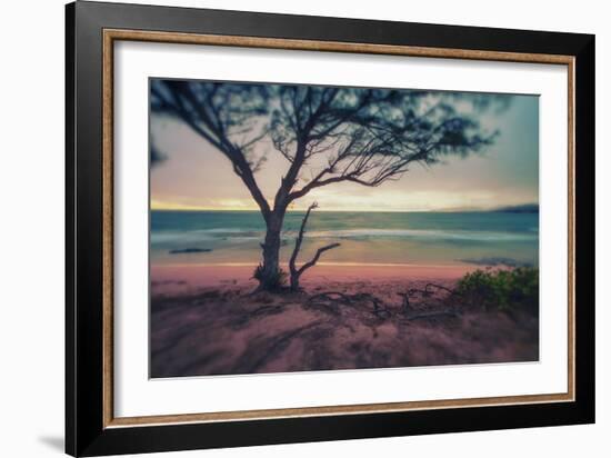 Memory Beach, Kauai-Vincent James-Framed Photographic Print