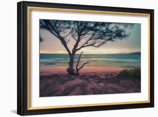 Memory Beach, Kauai-Vincent James-Framed Photographic Print