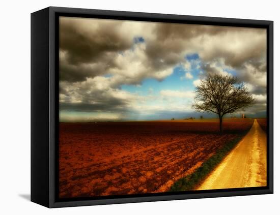 Memory Crash-Philippe Sainte-Laudy-Framed Premier Image Canvas