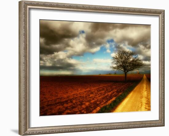 Memory Crash-Philippe Sainte-Laudy-Framed Photographic Print