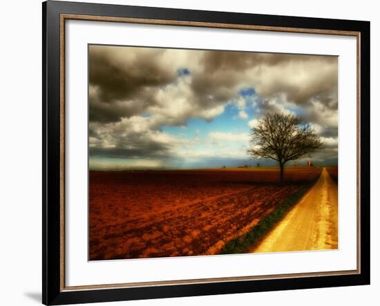 Memory Crash-Philippe Sainte-Laudy-Framed Photographic Print