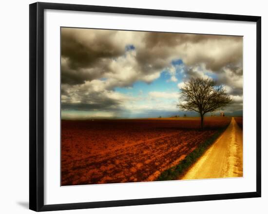 Memory Crash-Philippe Sainte-Laudy-Framed Photographic Print