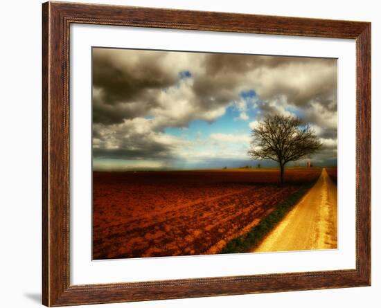 Memory Crash-Philippe Sainte-Laudy-Framed Photographic Print