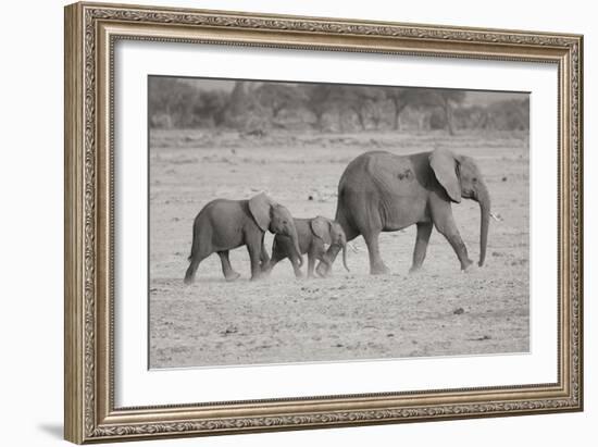 Memory Lane BW-Susann Parker-Framed Photographic Print