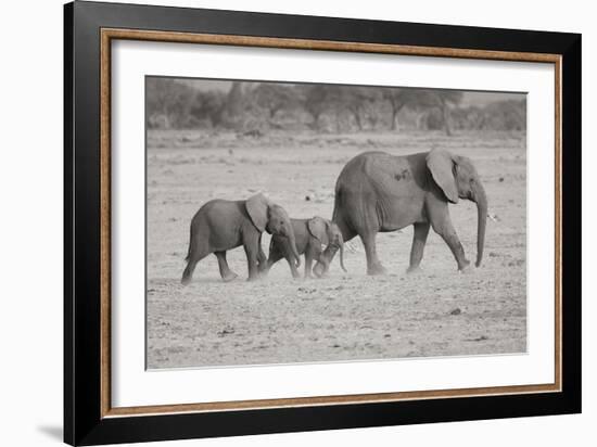 Memory Lane BW-Susann Parker-Framed Photographic Print