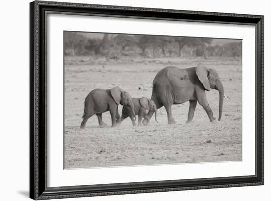 Memory Lane BW-Susann Parker-Framed Photographic Print