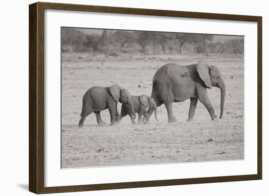 Memory Lane BW-Susann Parker-Framed Photographic Print