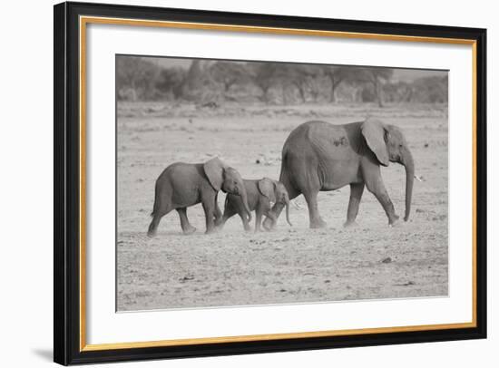 Memory Lane BW-Susann Parker-Framed Photographic Print