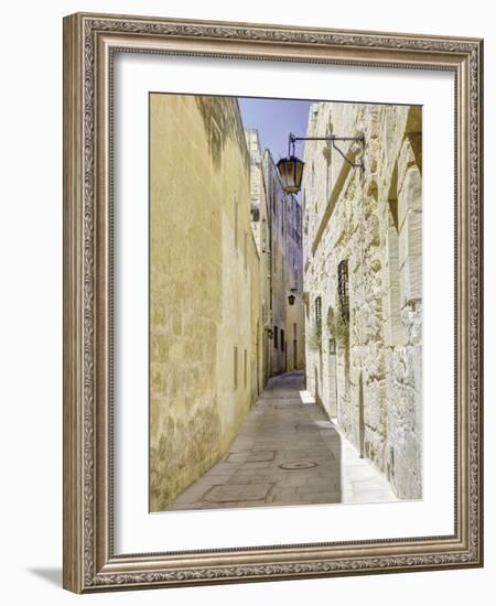 Memory Lane-Assaf Frank-Framed Giclee Print