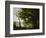 Memory of Mortefontaine, France, 1864-Jean-Baptiste-Camille Corot-Framed Giclee Print