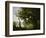 Memory of Mortefontaine, France, 1864-Jean-Baptiste-Camille Corot-Framed Giclee Print