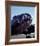 Memphis Bell-Ike Leahy-Framed Photo