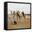 Men and Camels with Saddles, Algerian Desert-null-Framed Stretched Canvas