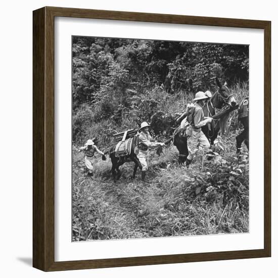 Men and Pack Animals Climbing a Steep Hill-null-Framed Photographic Print