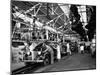 Men and Women Polishing Chevrolets on the Assembly Line at the General Motors Plant-null-Mounted Photographic Print