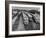 Men are Loading Up the "Santa Fe" Train with Supplies before They Take-Off-Andreas Feininger-Framed Photographic Print