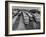 Men are Loading Up the "Santa Fe" Train with Supplies before They Take-Off-Andreas Feininger-Framed Photographic Print