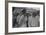 Men at a Strike Meeting in Yabucoa, Puerto Rico, Jan. 1942-Jack Delano-Framed Photo