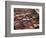 Men at Work in the Tanneries, Medina, Fez, Morocco, North Africa, Africa-Simon Montgomery-Framed Photographic Print