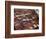 Men at Work in the Tanneries, Medina, Fez, Morocco, North Africa, Africa-Simon Montgomery-Framed Photographic Print