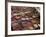 Men at Work in the Tanneries, Medina, Fez, Morocco, North Africa, Africa-Simon Montgomery-Framed Photographic Print