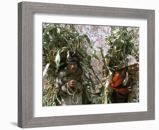 Men Carrying Corn, Cuzco, Peru, South America-Oliviero Olivieri-Framed Photographic Print
