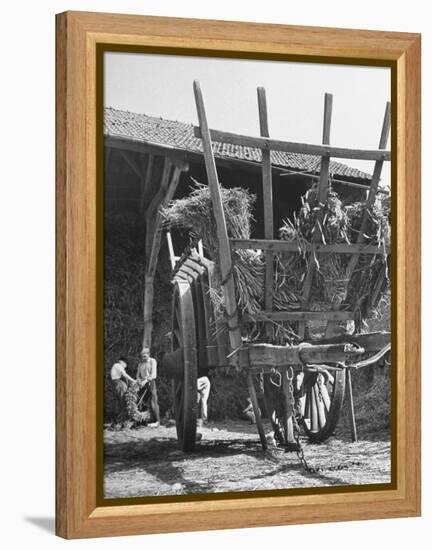 Men Constructing a Wheat Wreath Behind a Wheat Filled Wagon During the Harvest Season-Hans Wild-Framed Premier Image Canvas