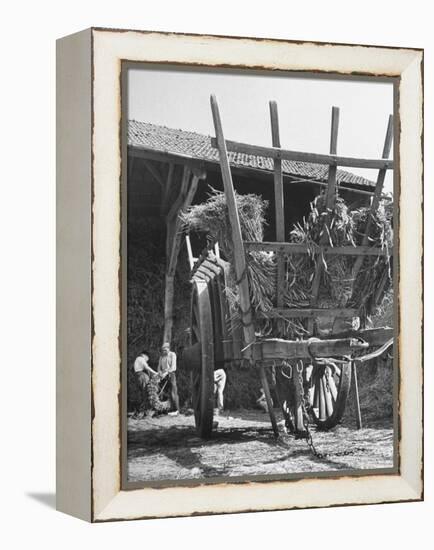 Men Constructing a Wheat Wreath Behind a Wheat Filled Wagon During the Harvest Season-Hans Wild-Framed Premier Image Canvas