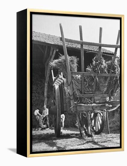 Men Constructing a Wheat Wreath Behind a Wheat Filled Wagon During the Harvest Season-Hans Wild-Framed Premier Image Canvas